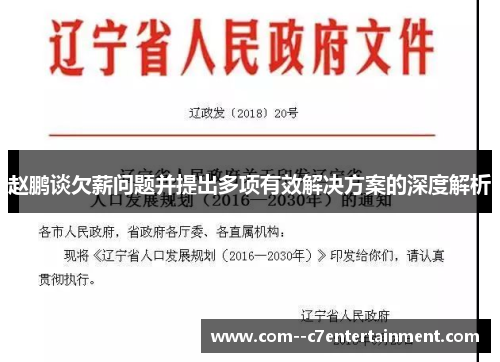 赵鹏谈欠薪问题并提出多项有效解决方案的深度解析